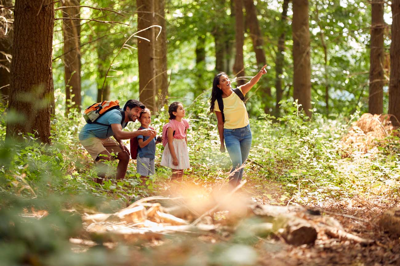 Family With Backpacks Hiking Or Walking Through Woodland Countryside Family With Backpacks Hiking Or Walking Through Woodland Countryside